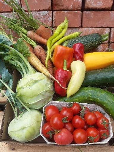 Gemüse aus dem Selbstversorgergarten von Autark Leben